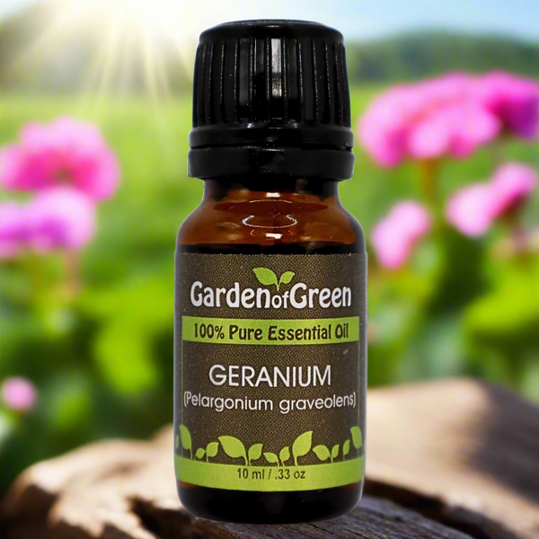 geranium Garden of green essential oil Geranium plant in a field with the sun shining down and the oil is sitting on a log