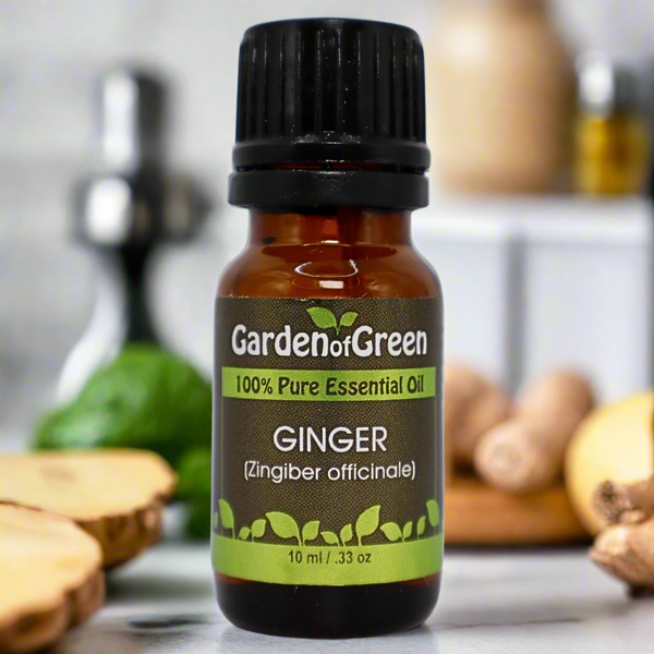 Ginger Garden of green essential oil Ginger essential oil sitting on a white kitchen counter with a ginger root sitting on the left side front of the bottle