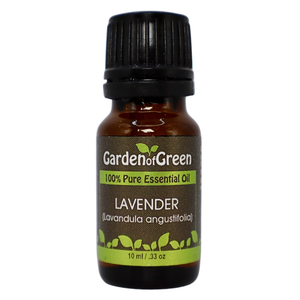 Lavender  garden of green essential oil front view 10ml front view with a white background