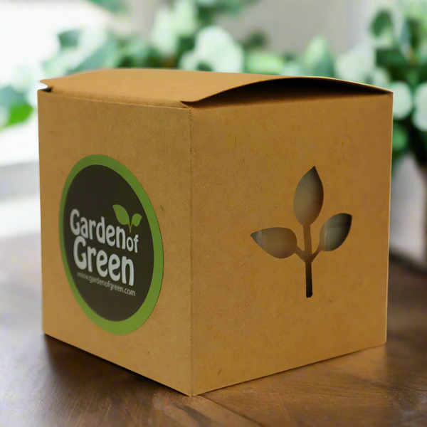 Vanilla Orange Soap – 3 Pack (4.5 oz Bars Each) – Soothing, Antioxidant-Rich, Natural Cold Process Soap