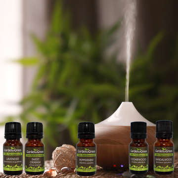 5 Essential Oil Diffuser Blends to Uplift Your Mood