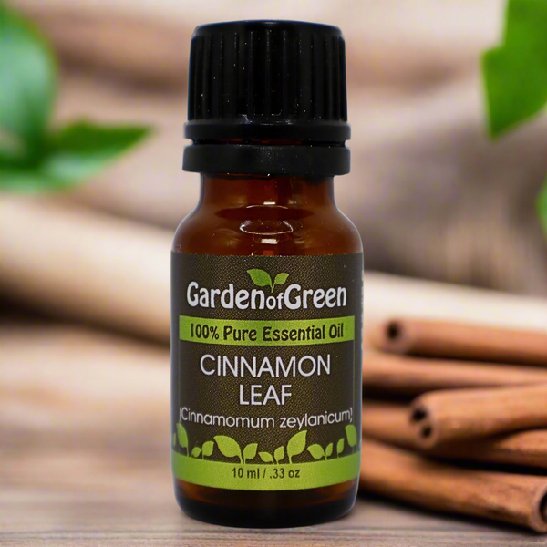 How to Blend & Diffuse Cinnamon Leaf Essential Oil for Winter Wellness
