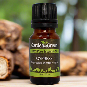Evergreen Dreams: Our Favorite Diffuser Blends with Cypress 🌲