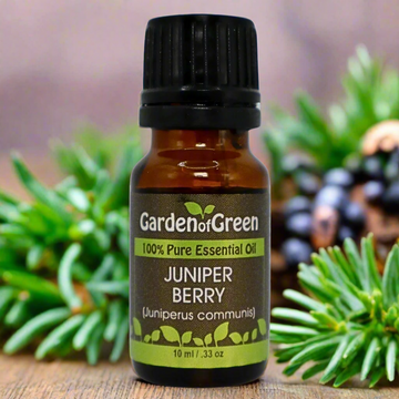🪵 Juniper Berry Oil: Nature’s Detox for Body & Mind
