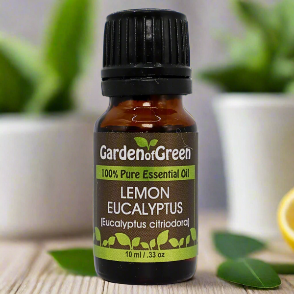 🌿 Lemon Eucalyptus: Fresh Protection for Home & Health