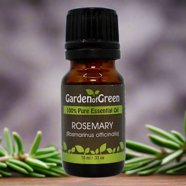 Rosemary Essential Oil: Focus, Energy & Mental Clarity