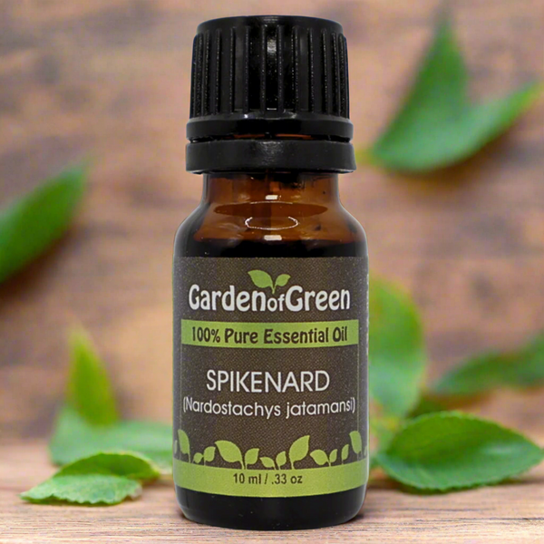 🪷 What Makes Spikenard Essential Oil So Special?