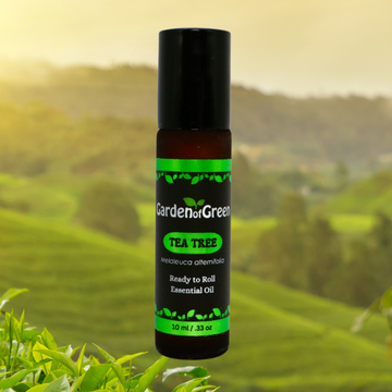 Tea Tree Essential Oil: The Natural Powerhouse for Skin, Scalp & Beyond