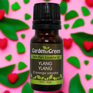 The Ultimate Gift of Love: Ylang Ylang Pure Essential Oil for Valentine’s Day