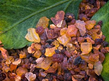 Myrrh sitting on large leaves