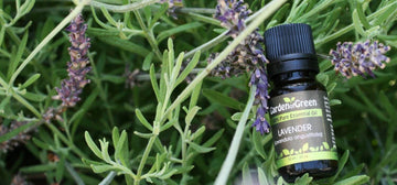 Essential Oil FAQs