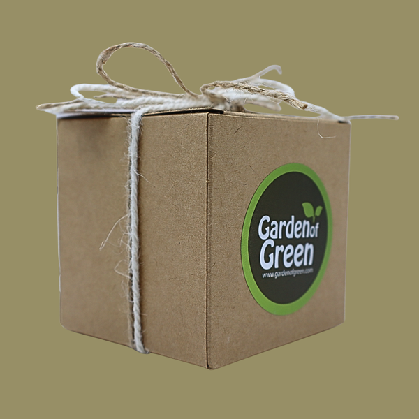 Side view of the kraft box with a garden of green sticker on the side. the box has a jute ribbon that can be seen on the left side. the background is tan