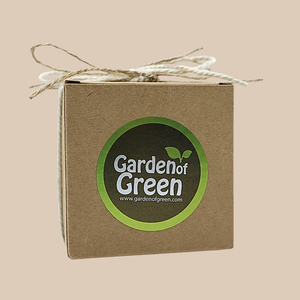 A small kraft box with a green garden of green sticker on it and a bow with Jute ribbon on it. the background it tan