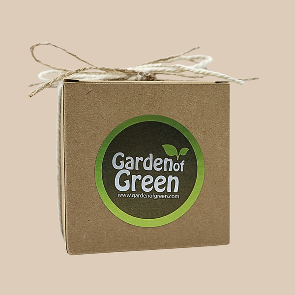 A small kraft box with a green garden of green sticker on it and a bow with Jute ribbon on it. the background it tan