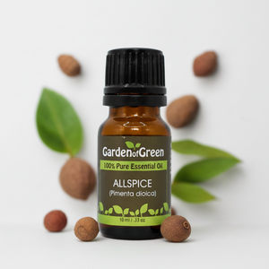 allspice essential oil in amber glass bottle, family-crafted aromatherapy oil, front view white background with allspice plant