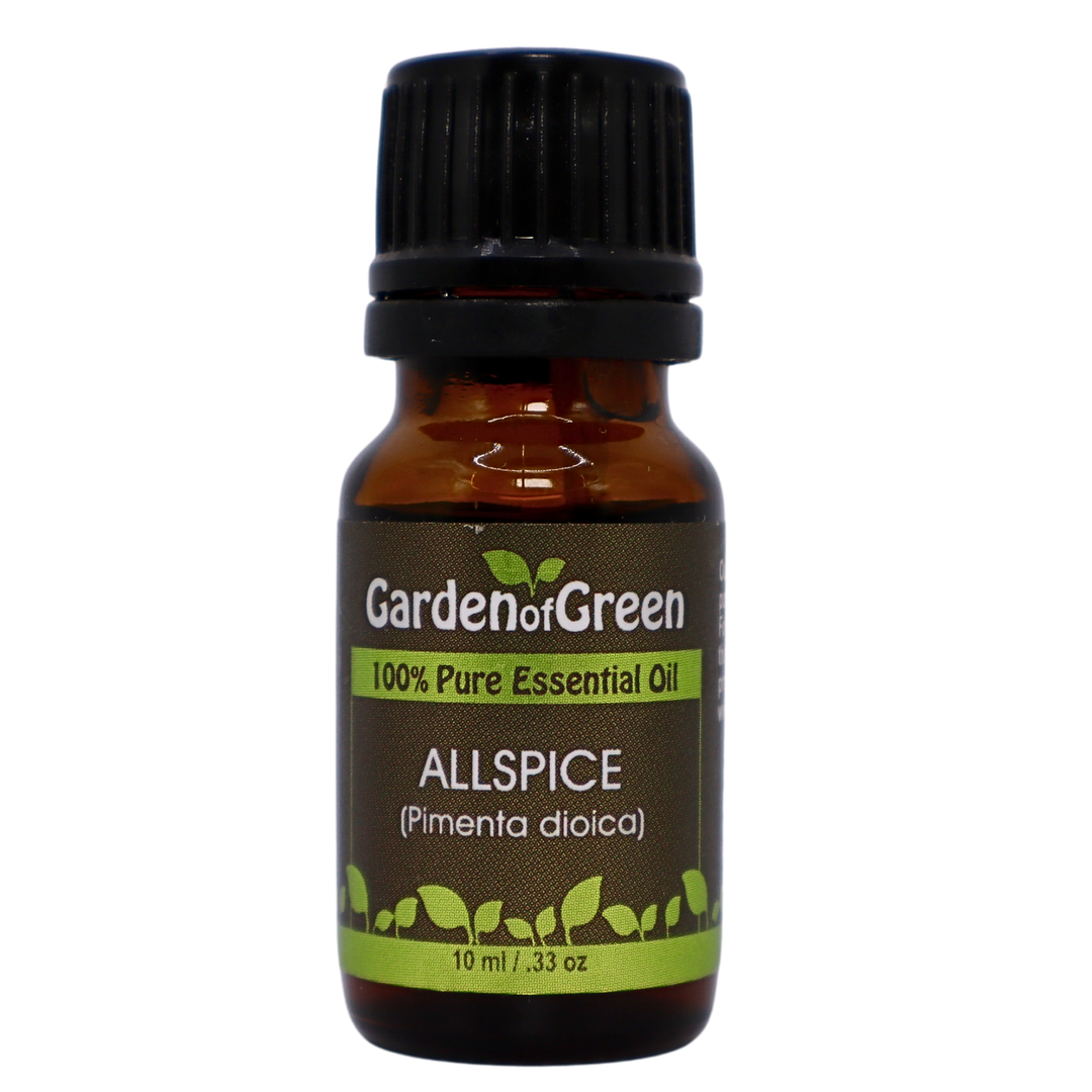 Allspice essential oil in amber glass bottle, family-crafted aromatherapy oil, front view on white background