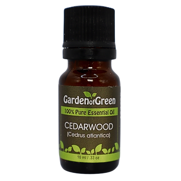 cedarwood essential oil front view with a white background