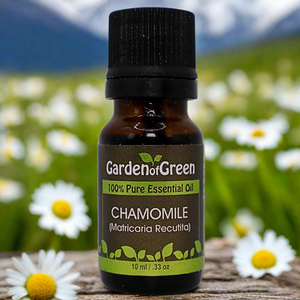 Chamomile Garden of green essential oil front view sitting on a wood table with a white flower on the lower left hand side. Mountian in the background with white flowers in a field