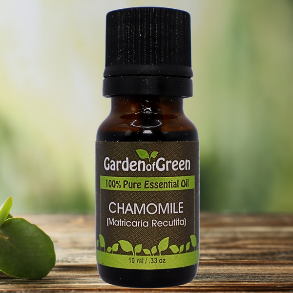 Chamomile Garden of green essential oil front view sitting on a wood table with a white flower on the lower left hand side. Mountian in the background with white flowers in a field