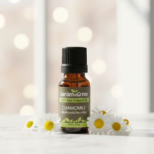 Chamomile essential oil in amber glass bottle, family-crafted aromatherapy oil, front view on a white table in the kitchen