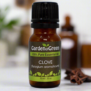 Clove Garden of green essential oil front view sitting on a wood table Clove bud and flower in the front with the essential oil wood table in a white kitchen