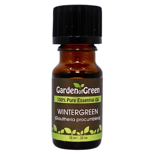 Wintergreen 100% pure essential oil 10 ml front view with a white blackground