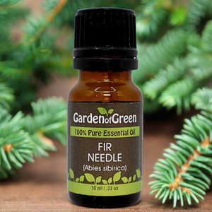 Fir Needle Garden of green essential oil front view sitting on a wood table with a fir trees all in the background with fir up on a log