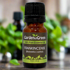 Garden of Green's pure Frankincense essential oil sitting in a kitchen with green plants in background
