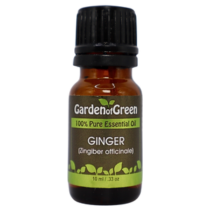 Ginger essential oil front view with a white background