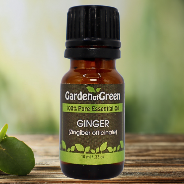 Ginger Garden of green essential oil front view sitting on a wood table with a leaf on the lower left hand side. green background with sun shining through the top left.