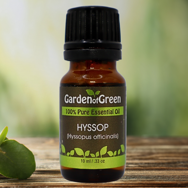 Hyssop Garden of green essential oil front with the oil sitting on a wood table with a hyssop plant in the background with the sun shinning through.