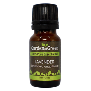 Luxury Lavender essential oil in glass bottle, family-crafted aromatherapy product with eco-conscious packaging, front view on white background
