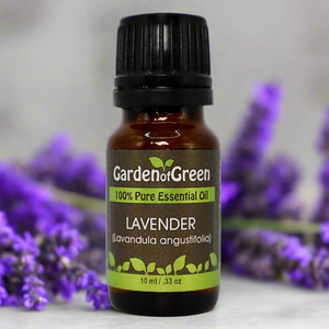 Luxury lavender essential oil in glass bottle, family-crafted aromatherapy product with eco-conscious packaging, front view with lavender flowers in the background