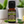 Lemon Eucalyptus essential oil essential oil in amber glass bottle, family-crafted aromatherapy oil, front view on wood table with plants in the background