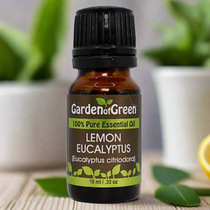 Lemon Eucalyptus essential oil essential oil in amber glass bottle, family-crafted aromatherapy oil, front view on wood table with plants in the background