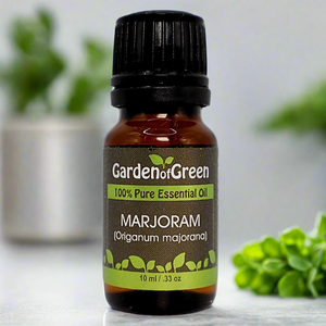 Marjoram Garden of green essential oil front view sitting on a kitchen sink with the plant next to it