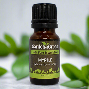Myrtle essential oil in amber glass bottle, family-crafted aromatherapy oil, front view on with green leaves in the background