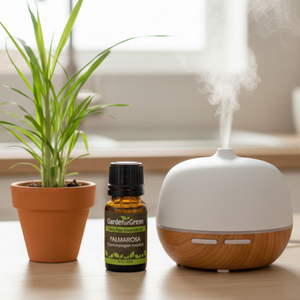 Bottle of Palmarosa essential oil in the kitchen with a diffuser on the right and palmarosa plant next to it on the left