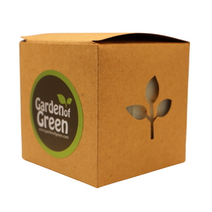 Peppermint Aromatherapy Soap – 3 Pack (4.5 oz Bars Each) – Refreshing, Invigorating, Handmade Cold Process Soap