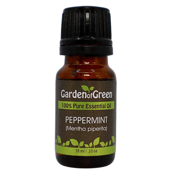 Peppermint essential oil front view 10 ml from garden of green with a white background