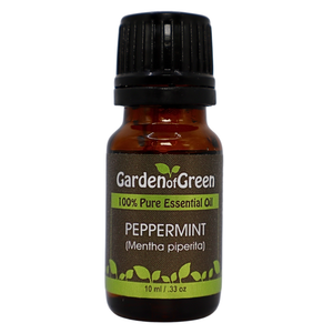 Peppermint essential oil in amber glass bottle, family-crafted aromatherapy oil, front view on white background
