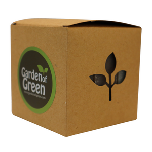 Sandalwood Soap – 3 Pack (4.5 oz Bars Each) – Natural, Handmade, Cold Process