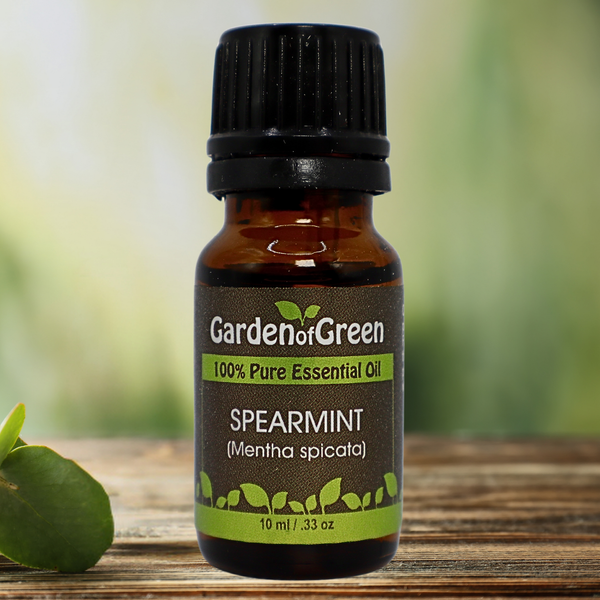 Spearmint Garden of green essential oil front view sitting on a wood table with a leaf on the lower left hand side. green background with sun shining through the top left.