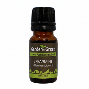 Spearmint essential oil in amber glass bottle, family-crafted aromatherapy oil, front view on white background