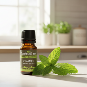 Spearmint essential oil front view sitting up front sitting in a bright kitchen and spearmint leaves sitting next to it on the right