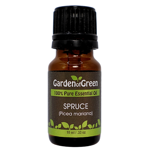 Spruce essential oil front view 10 ml by garden of green with a white background