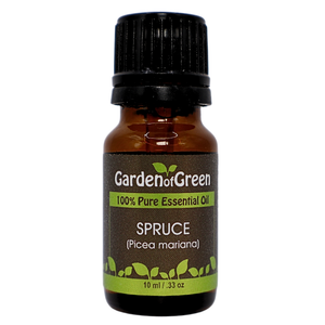 Spruce essential oil in amber glass bottle, family-crafted aromatherapy oil, front view on white background