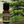 Spruce essential oil front view sitting on a wood table with a spruce in the background and a sprig next to the oil 