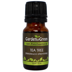 Tea Tree essential oil in amber glass bottle, family-crafted aromatherapy oil, front view on white background