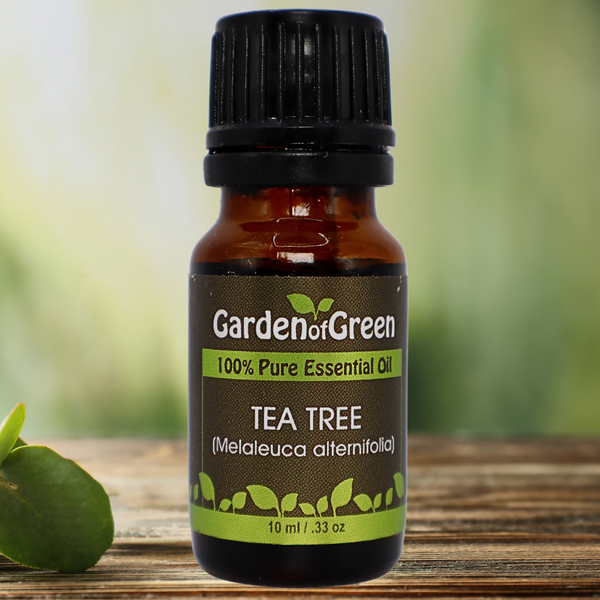 Tea Tree Garden of green essential oil front view sitting on a wood table with a leaf on the lower left hand side. green background with sun shining through the top left.